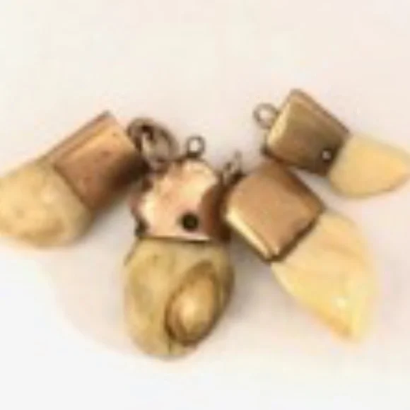 Collectible Antique Elk 🦷 Benevolent Protective Order of Elks